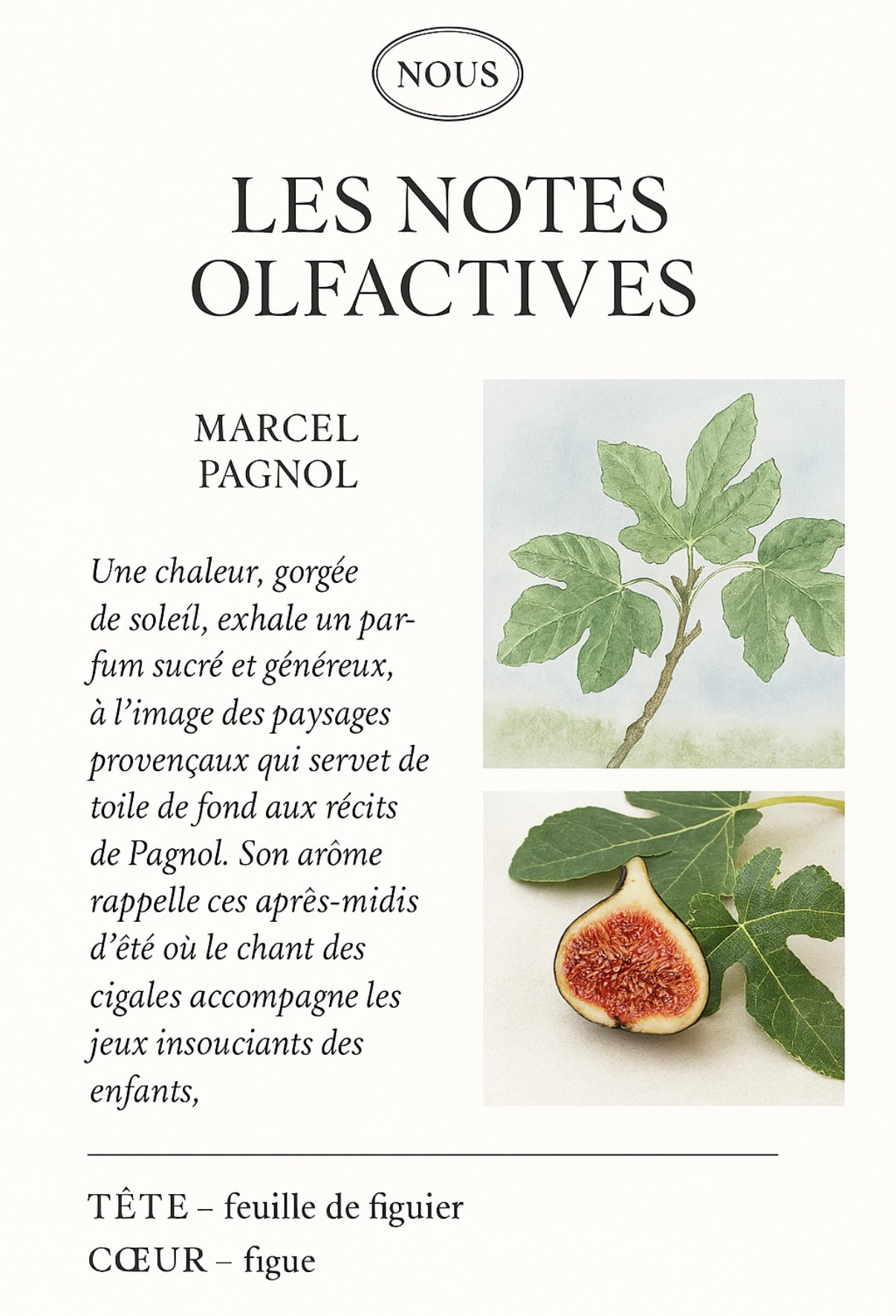 Marcel Pagnol-Figue 180g